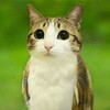 Логотип телеграм канала @meowl_18 — [РАЗМОРОЖЕН]!ПЕРЕХОДНИК! 🥳_"meowl"_🥳(18 )