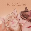 Логотип телеграм канала @meowmeowkus — кусь
