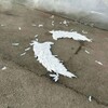 Логотип телеграм канала @meowmeowssssssssss — Уляя🪽