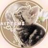 Логотип телеграм канала @meowmur_cf — Котятки кф