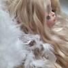 Логотип телеграм канала @meowsalt — мяу;