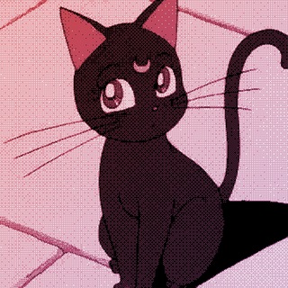 Логотип телеграм канала @meowsecc — Meowsec IT