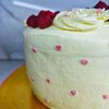 Логотип телеграм канала @merengamania — Десертная коллекция🧁🎂🍰