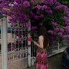 Логотип телеграм канала @meriimil — just come home