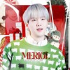 Логотип телеграм канала @meriolfm — ЗАКРЫТО 𝗠𝗘𝗥𝗜𝗢𝗟 ((🎄)