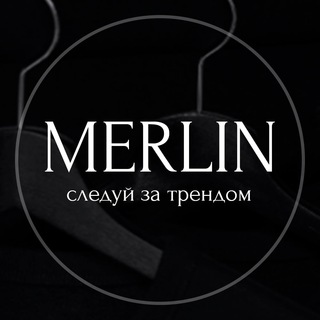 Логотип телеграм канала @merlin_shop — MERLIN 2А-42