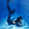 Логотип телеграм канала @mermaid_studio — Школа русалок в Москве
