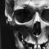 Логотип телеграм канала @messorem_plus — Messorem
