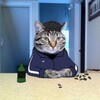 Логотип телеграм канала @mestniy_kurgana — Местные из Кургана