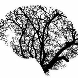 Логотип телеграм канала @metacognition1 — _metacognition