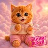 Логотип телеграм канала @metadrain315 — M3T4DR41N. 12 