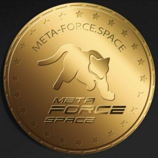 لوگوی کانال تلگرام metaforce_iranian_channel — 🔥💥متافورس💥🔥