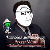 Логотип телеграм канала @metaironiy — Хайповая Метаирония