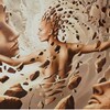 Логотип телеграм канала @metamorphoses_with_freud — Метаморфозы с Фрейдом