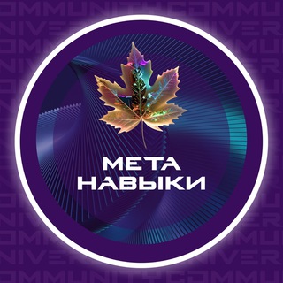 Логотип телеграм канала @metanaviki — Метанавыки: суперсилы человека