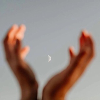 Логотип телеграм канала @metanoia_in — metanoia