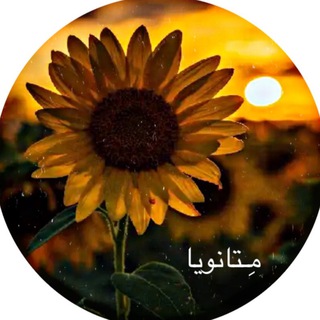 لوگوی کانال تلگرام metanoya_offical — مِـتانویا