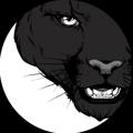 Logo saluran telegram metapanthers — Meta Panthers NFT