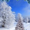 Логотип телеграм канала @meteo_lugansk — Погода в Луганске