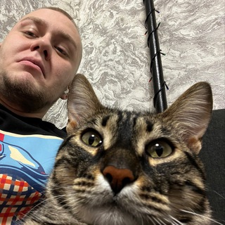 Логотип телеграм канала @metkott — Айдарик