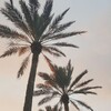 Логотип телеграм канала @metravelmore — Ветер с моря дул | Путешествия