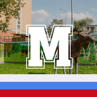 Логотип телеграм канала @metrog — Метрогородок/ВАО М125