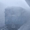 Логотип телеграм канала @metrotrainold — «Ёжик в тумане»