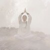Логотип телеграм канала @mettamindfulness — Дневник Свободы🕊 МЕТТА