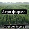 Telegram kanalining logotibi mevaliyy_kochatlar — Агро_ фирма кочатлар