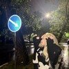 Логотип телеграм канала @mewmetikm — робукс крошка