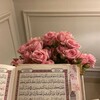 لوگوی کانال تلگرام meyfirry — meyfírry