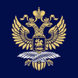 Логотип телеграм канала @mfavladivostok — Представительство МИД России во Владивостоке