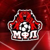 Логотип телеграм канала @mfl_omsk — МФЛ | ОМСК