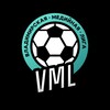 Логотип телеграм канала @mflvlad — Владимирская Медийная Лига