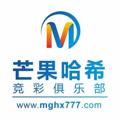 电报频道的标志 mghx7 — 哈希娱乐