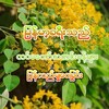 Logo of telegram channel mgmaung969 — မြန်မာ့ခရီးသည်