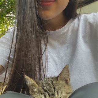 Логотип телеграм канала @mgmdova — navsegdalieto