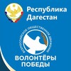 Логотип телеграм канала @mgvollllm — Волонтеры Победы Дагестана.