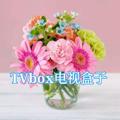 Telegram kanalining logotibi mi5200 — TVbox电视盒子apk合集