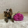Логотип телеграм канала @mia_off_alada — Кусака-Мия💗