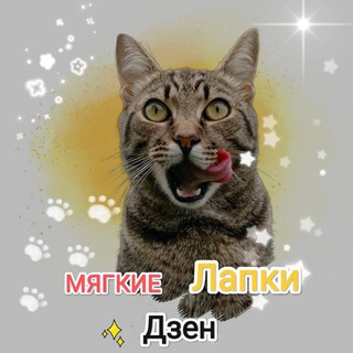 Логотип телеграм канала @miagkielapki — Мягкие лапки🐈🐾