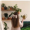 Логотип телеграм канала @miaplants — MiaPlants
