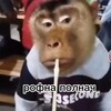 Логотип телеграм канала @miayyykadzy — продается