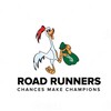 Logo of telegram channel michiganroadrunners0 — Michigan Plug RoadRunners 💵 🏃