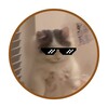 Logo of telegram channel michinews — Michi $MICHI Channel