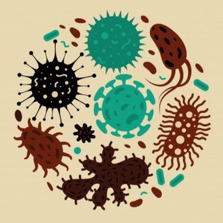 Логотип телеграм канала @microbiology_61 — Microbiology