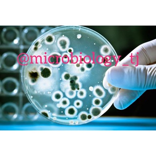 Логотип телеграм канала @microbiology_tj — MICROBIOLOGY WORLD🌏