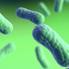 टेलीग्राम चैनल का लोगो microbiologyresearch — The Microbiology Mosaic