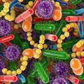 Logo saluran telegram microbiologyu9 — 𝐁𝐢𝐨 𝐪𝐮𝐢𝐳 - ක්ෂුද්‍ර ජීව විද්‍යාව