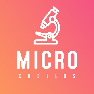 Logotipo del canal de telegramas microchollos - MICROCHOLLOS